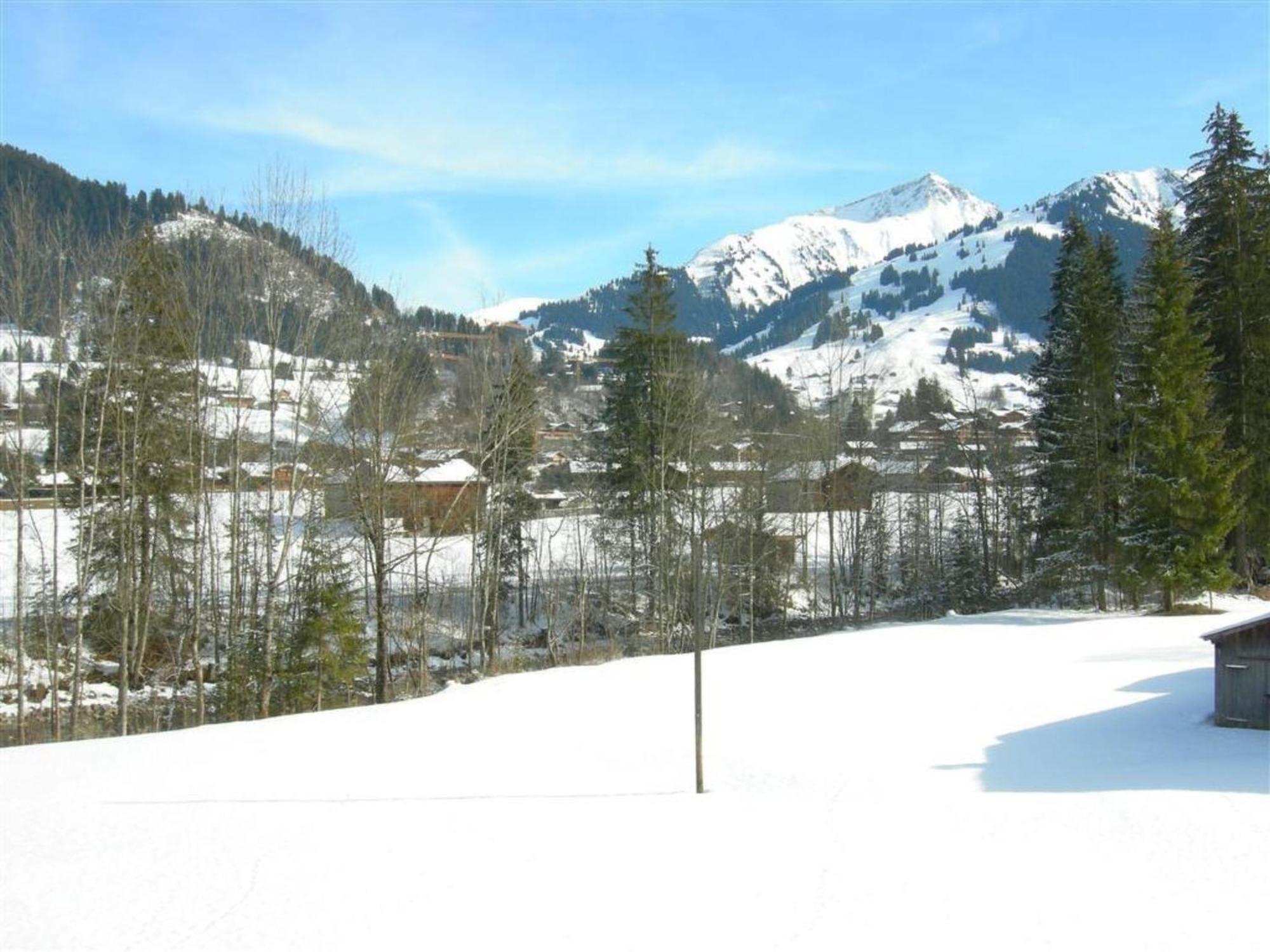 Apartment Steimandli Gstaad Exterior foto