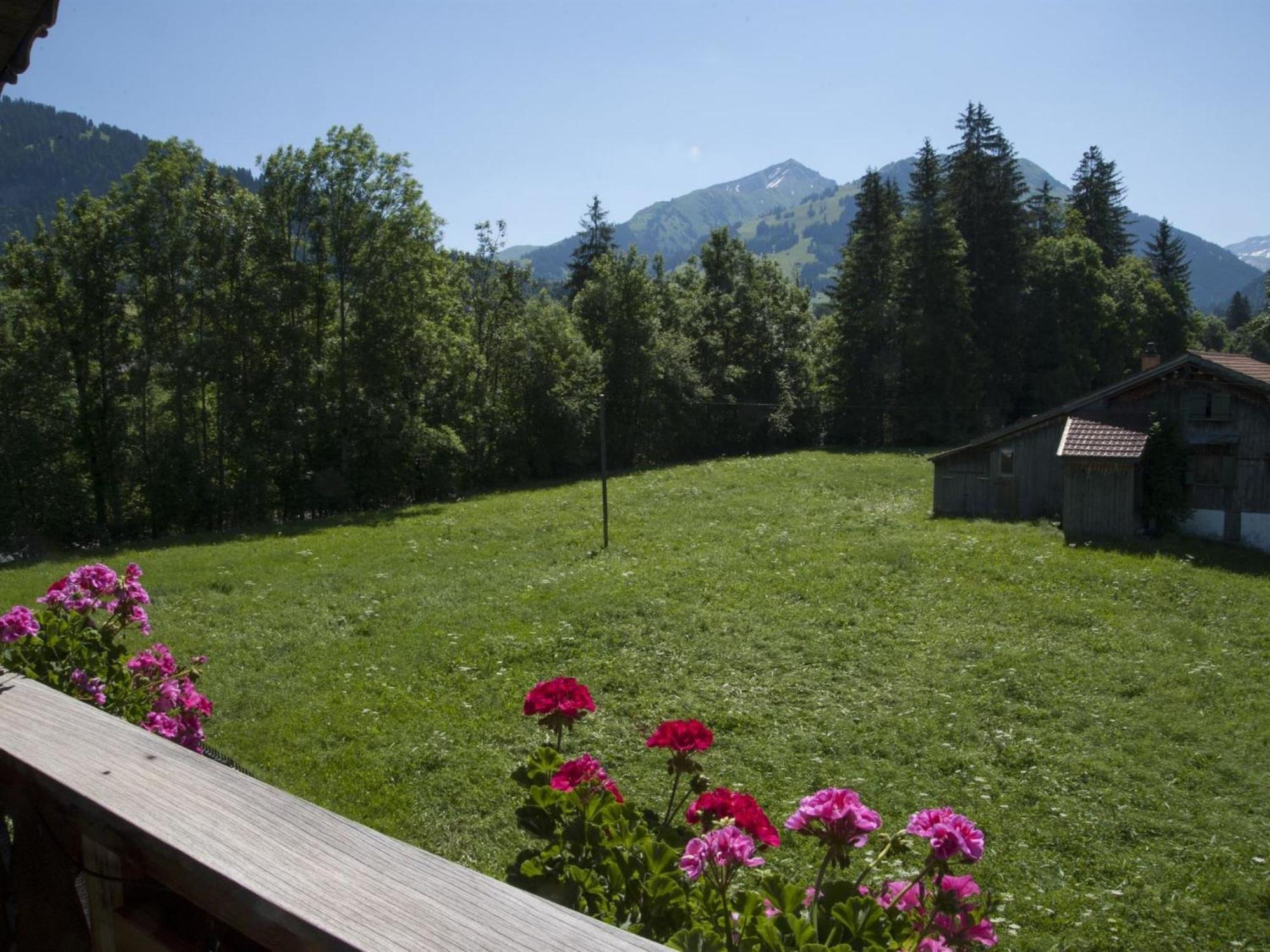 Apartment Steimandli Gstaad Exterior foto